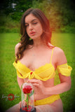 Bellefields <br />(63 Photos available)