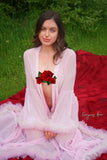 Carnation <br />(117 Photos available)