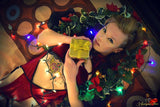 Mistletoe <br />(4 Sets Available)