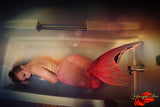 Seashell'd<br />(50 Photos Available)