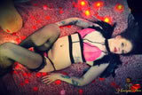 Fallen Revenge <br />(41 Photos Available)