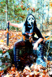 Scream <br />(47 Photos available)