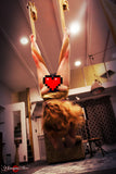 Spider Eve <br />(86 Photos available)