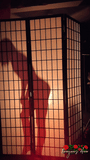 Behind the Scenes Amber Rose 6 <br />(5 Videos available)