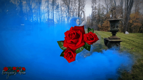 LofiSmoke <br />(2:20 Min)