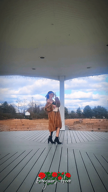 Behind the Scenes Foxy 2 (Bundle) <br />(6 Videos available)