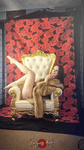 Behind the Scenes Alexis 2 <br />(15 Videos available)