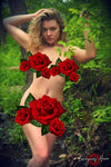 Alice Creek <br />(48 Photos available)