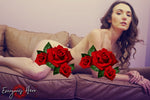 Denouement <br />(78 Photos available)