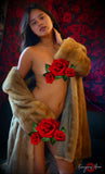 Fur Carter <br />(42 Photos available)