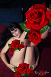 Hero's Bed <br />(56 Photos available)