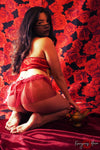Arabian Nights <br />(89 Photos available)