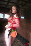 RedNets <br />(91 Photos available)