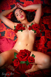 Laney's Rose <br />(190 Photos available)
