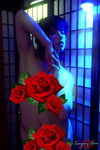 RvB <br />(33 Photos available)