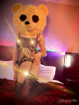 Teddy <br />(60 Photos available)