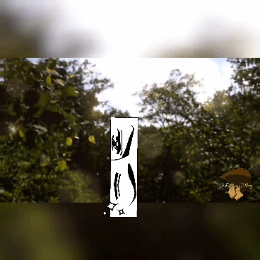 Woods Bae <br />(2:12 Min)