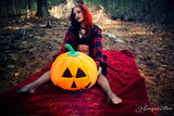 Trick or Treat <br />(73 Photos available)